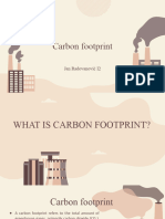 Carbon Footprint