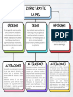 Esquema Estructuras de La Piel