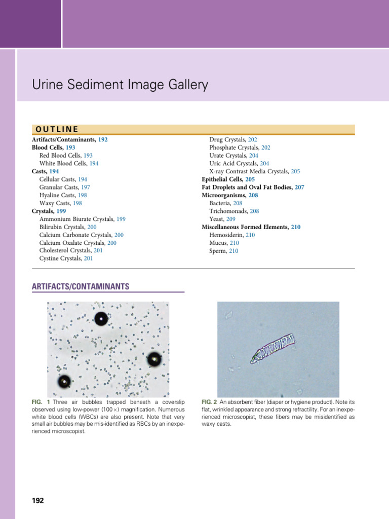 Urine Sediment Image Collection | PDF | Animal Anatomy | Anatomy