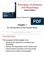 Intro To Human Anatomy