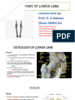 Prof. O. Adeeyo Lower Limbs