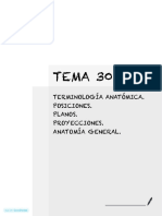 Tema 30 Sas