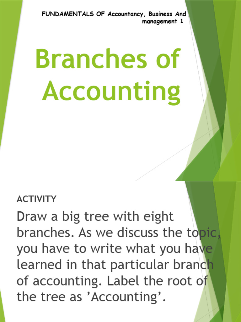 Overview of Accounting Branches | PDF | Accounting | Audit