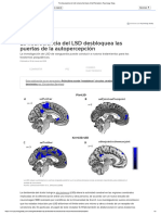 The Neuroscience of LSD Unlocks The Doors of Self-Perception - Psychology Today