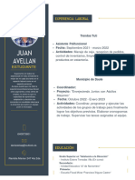 CV 1 Juan Avellan Tecnico de Ventas