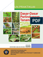 Modul Praktikum DPT Rev 2024