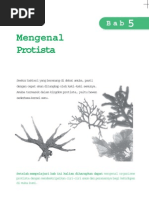 Download Protista by Lintang Adhi SN71410980 doc pdf