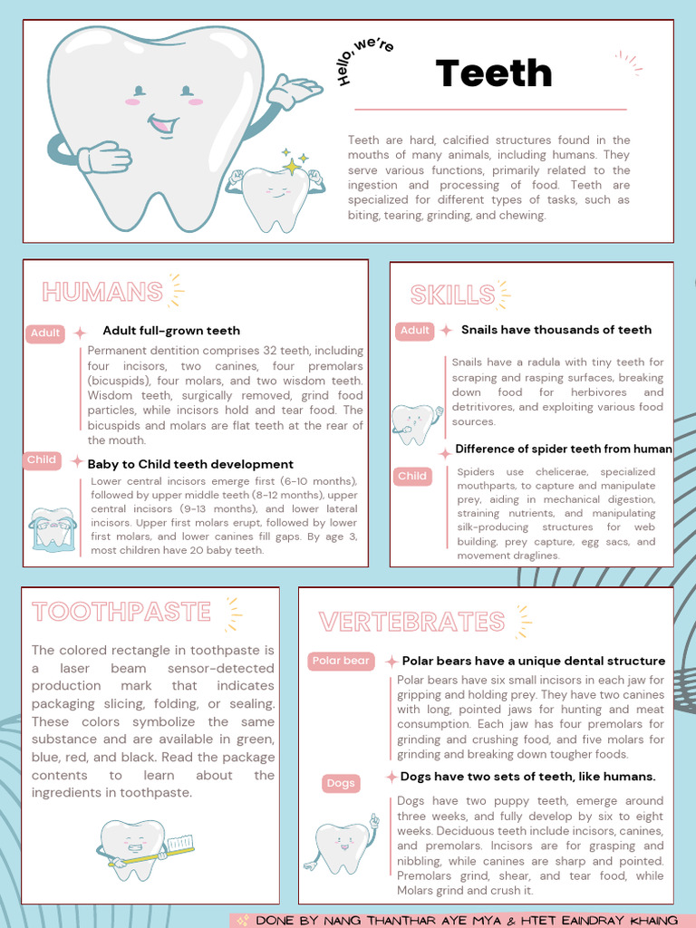 Poster about teeth | PDF | Tooth | Dentistry