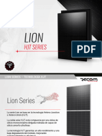 Presentacion Recom Lion
