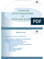 Droit Commercial & Droit Des SociÃ Tã©s Def