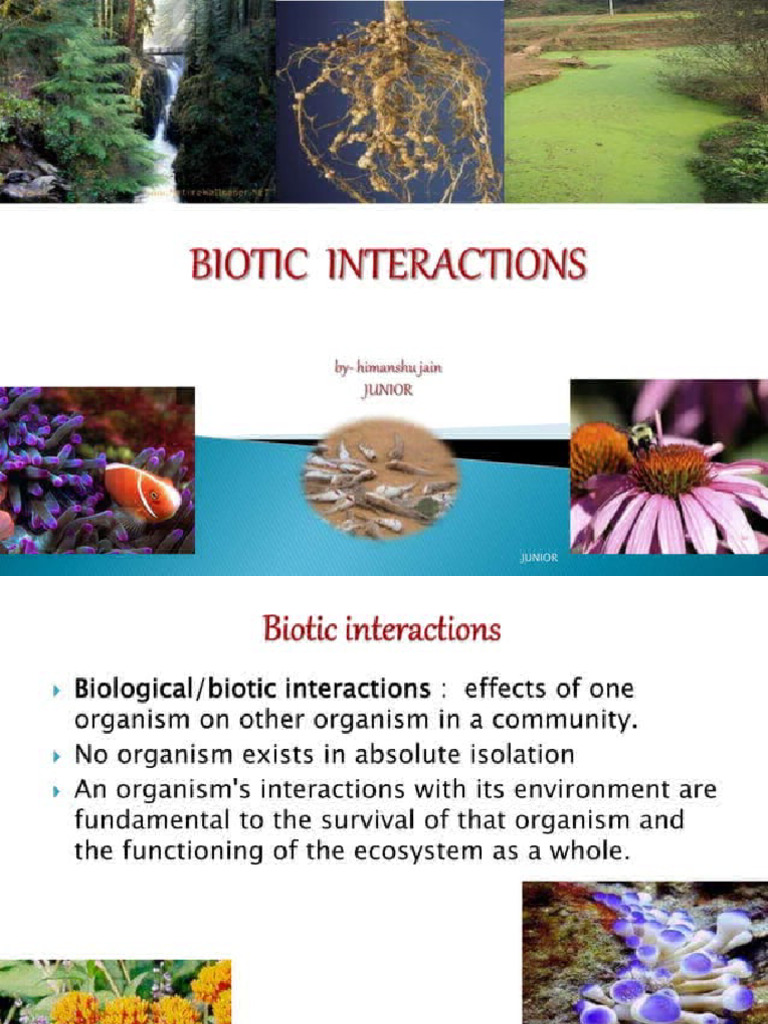 Community Ecosystem2 Pdf