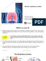 Human Biology - Respiration - 2023