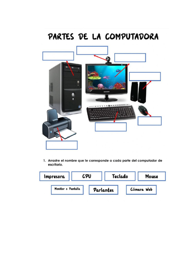 Partes de La Computadora | PDF