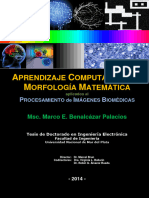 APRENDIZAJE COMPUTACIONAL y MORFOLOGÍA MATEMÁTICA (PDFDrive)