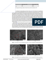 Al-5Cu-Mn 183 34.35 Al-5Cu-Mn-0.5Bn 215 43.84: Alloy Materials Yield Strength Σ (Mpa) Elastic Modulus E (Gpa)