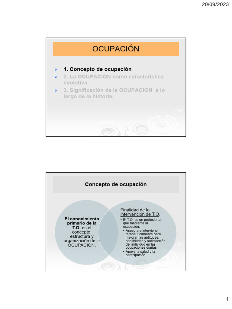 Definición de Ocupación en Terapia | PDF | Homo | Humano