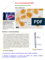 chapitre-1-activite-4-lexpression-de-l-adn