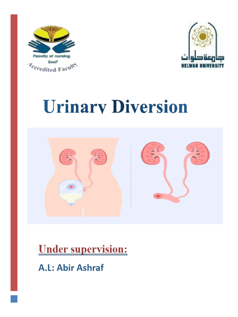 Urinary diversion PDF Urinary Incontinence Organ (Anatomy)