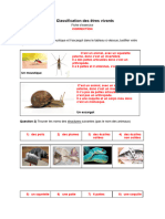 22 23 Classification Animaux CORRECTION
