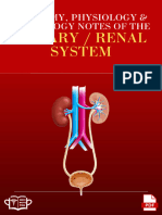 Urinary Renal System