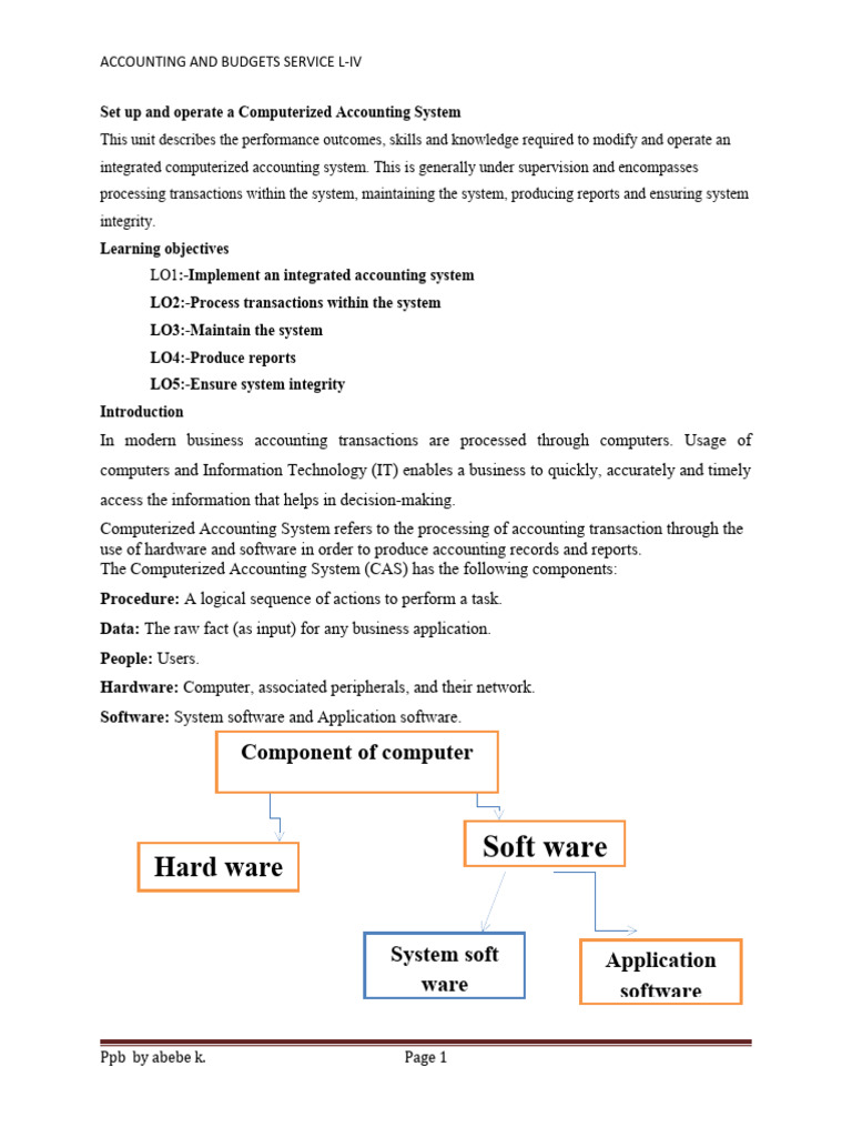 Setting Up a Computerized Accounting System | PDF | Computers