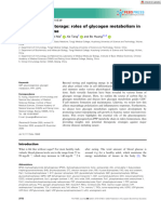 The FEBS Journal - 2020 - Zhang - Beyond Energy Storage Roles of Glycogen Metabolism in Health and Disease