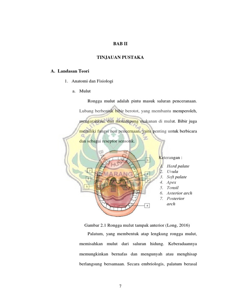 Bab Ii P1337430115042 | PDF