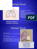 Derreame Pleural y y Yo Completo