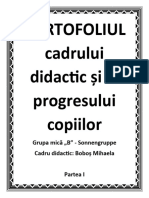 PORTOFOLIUL