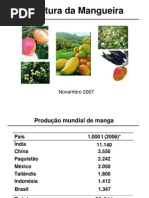 cultura da mangueira