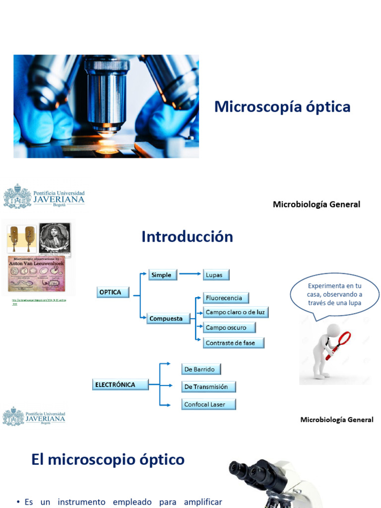Microscopia Óptica 2110 | PDF | Microscopio | Óptica