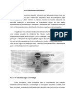 Resumo Capítulo 6. 6 - Administração Teorica e Prática No Contexto Brasileiro