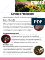 Strange Predators Stage 3 Comp - Comprehension Pack