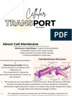 Cellular Transport