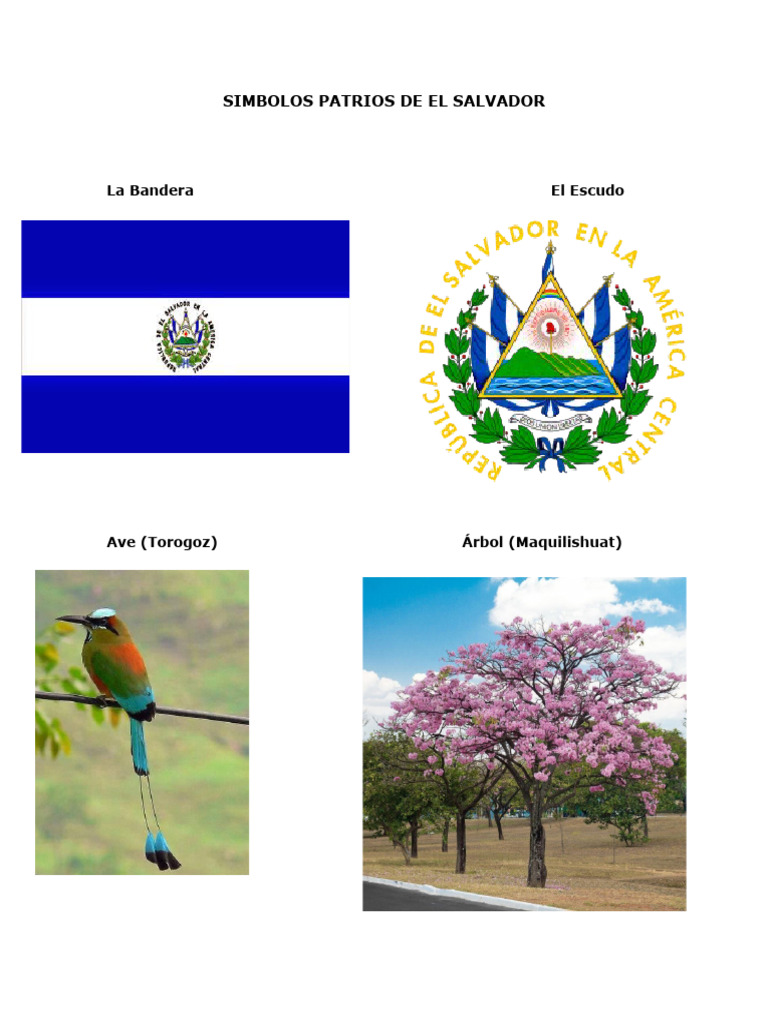 Símbolos Patrios de El Salvador | PDF | Maíz | Cocina