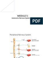 VMUF 5 Autonomic Nervous System Drugs