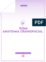 Atlas Anatomia Craniofacial