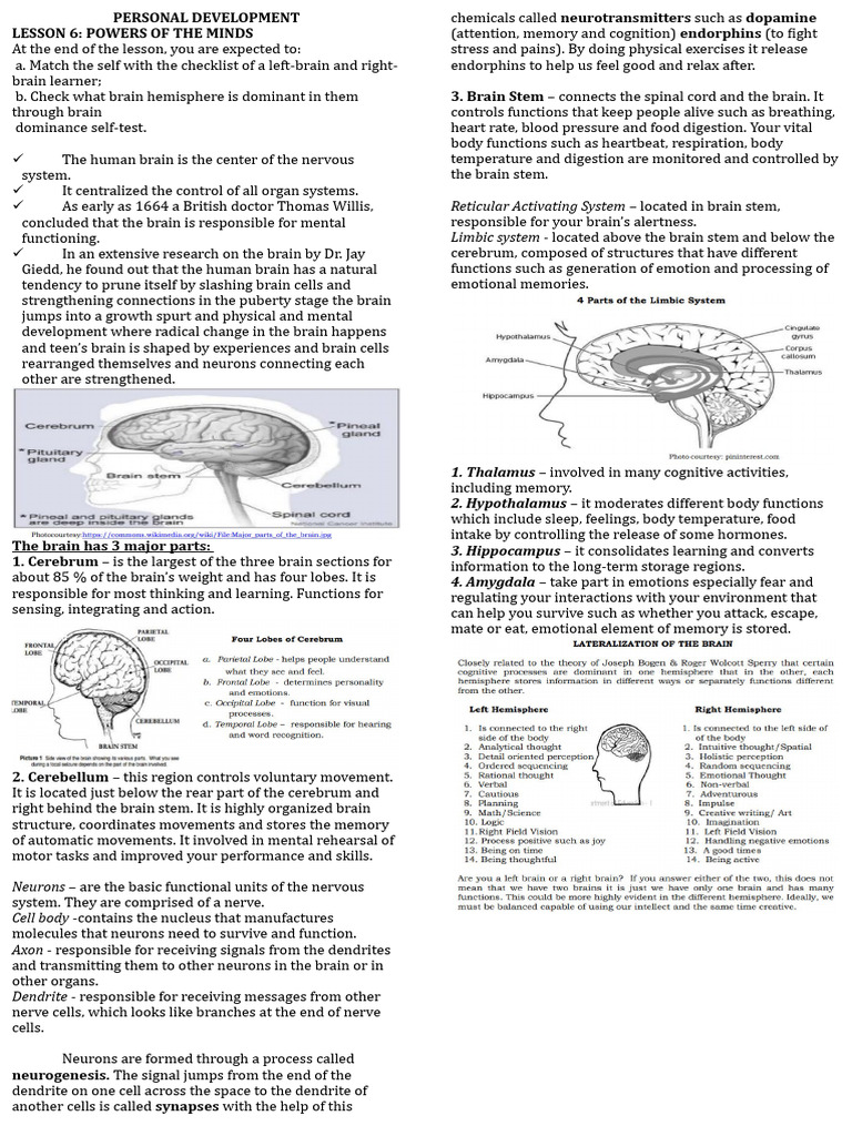 Perdev Handout Lesson 6 | PDF