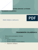 2023 Neurotransmision - Colinergica