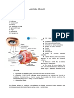 Anatomia Do Olho - Documentos Google
