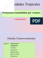 Leishmaniosis 07