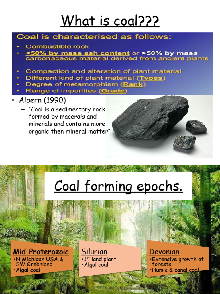 Coal Pdf Coke Fuel Shale