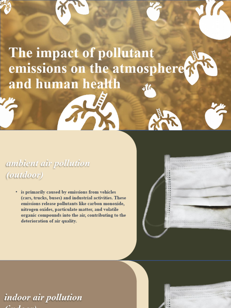 Air Pollution: Health and Environment | PDF | Air Pollution | Particulates