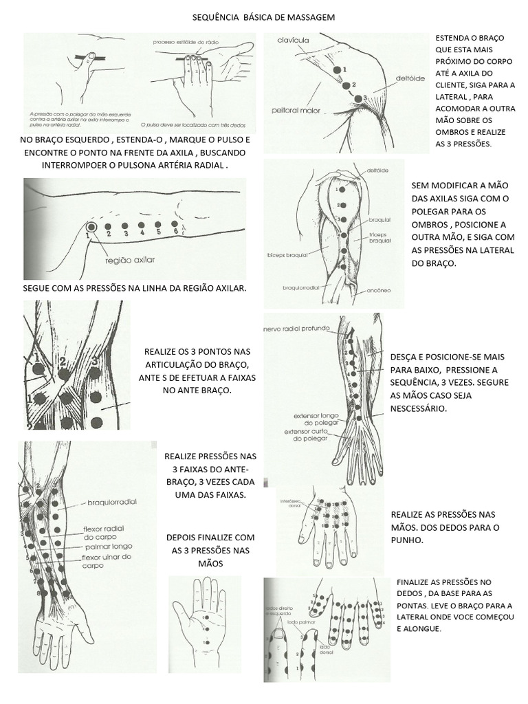 Guia de Massagem no Braço Esquerdo | PDF | Membros (anatomia)