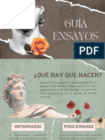 Guía - Ensayos