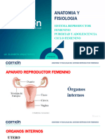 I. - Anatomia y Fisiologia Del Arf