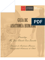 2019 Guía Anatomía General Ua