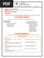 S10 - 5to - Leng - Figura Literaria