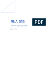 RNA 분리 실험