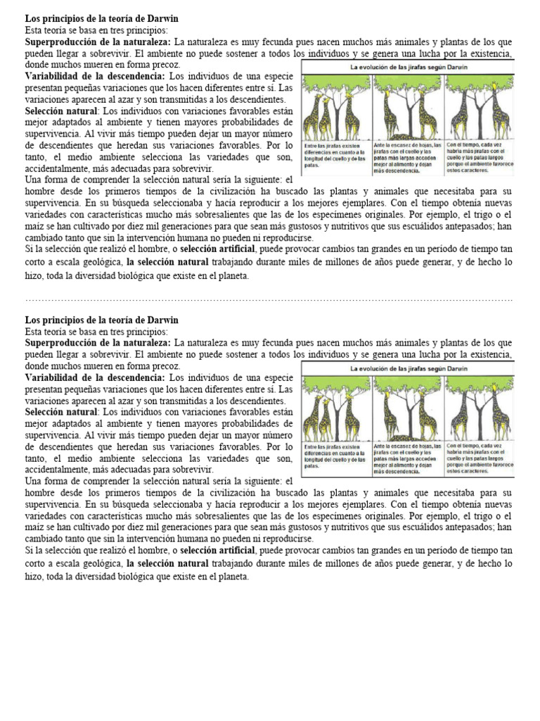 Principios de la Teoría de Darwin | PDF | Seleccion natural | Reproducción